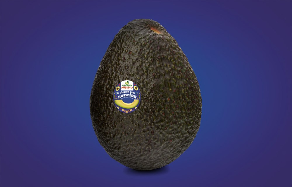 c0238328225305.563719b5b303f